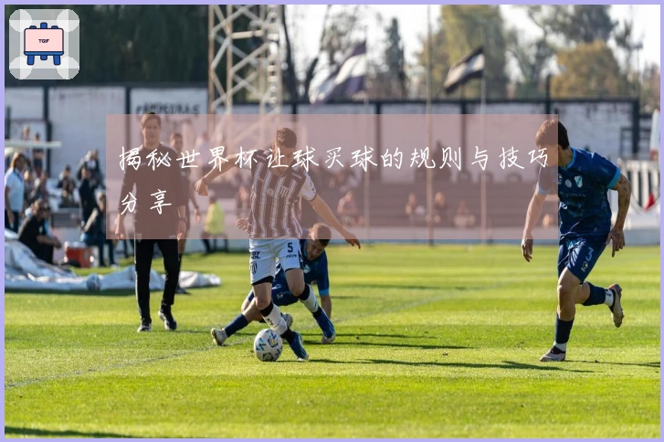 揭秘世界杯让球买球的规则与技巧分享