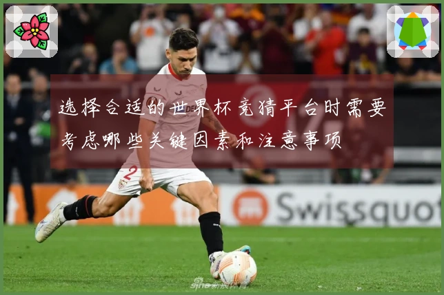 选择合适的世界杯竞猜平台时需要考虑哪些关键因素和注意事项