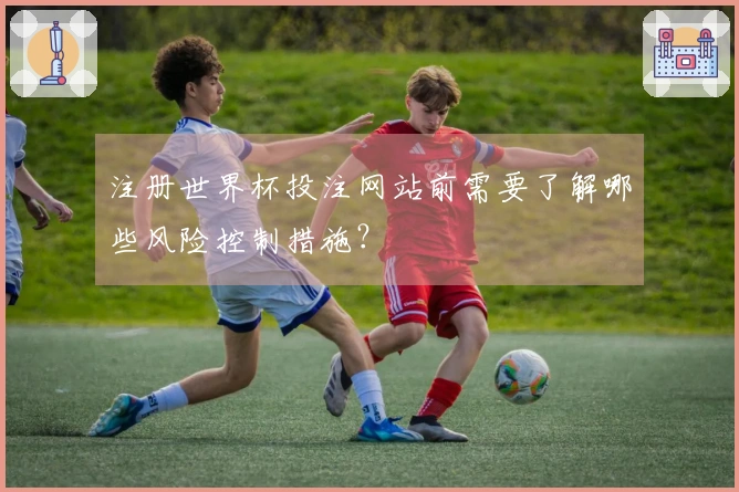 注册世界杯投注网站前需要了解哪些风险控制措施？