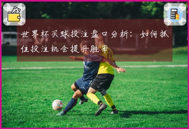 世界杯买球投注盘口分析：如何抓住投注机会提升胜率