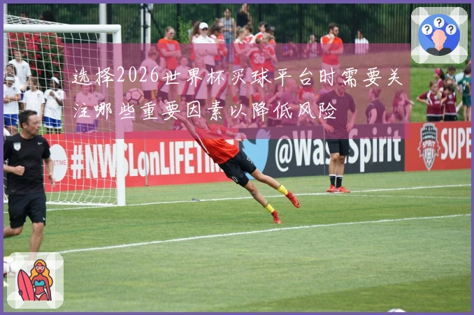 选择2026世界杯买球平台时需要关注哪些重要因素以降低风险