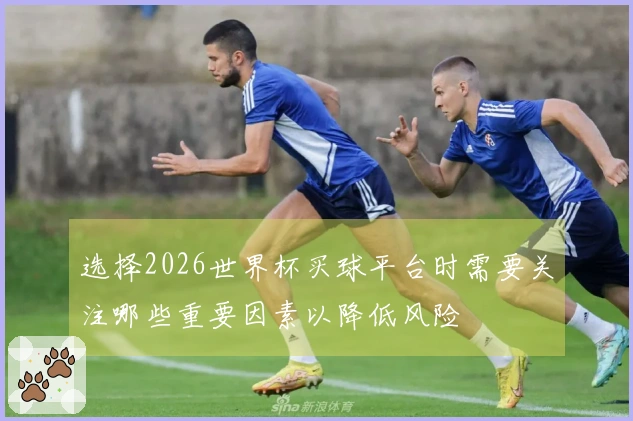 选择2026世界杯买球平台时需要关注哪些重要因素以降低风险
