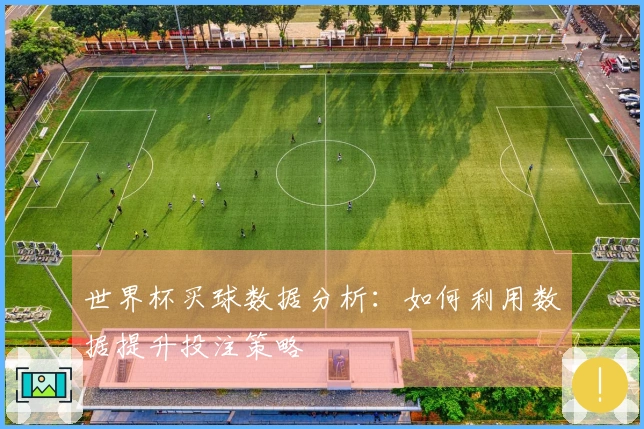 世界杯买球数据分析：如何利用数据提升投注策略