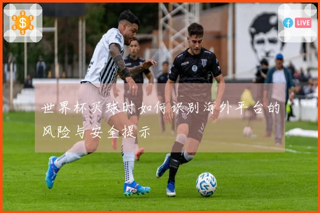 世界杯买球时如何识别海外平台的风险与安全提示