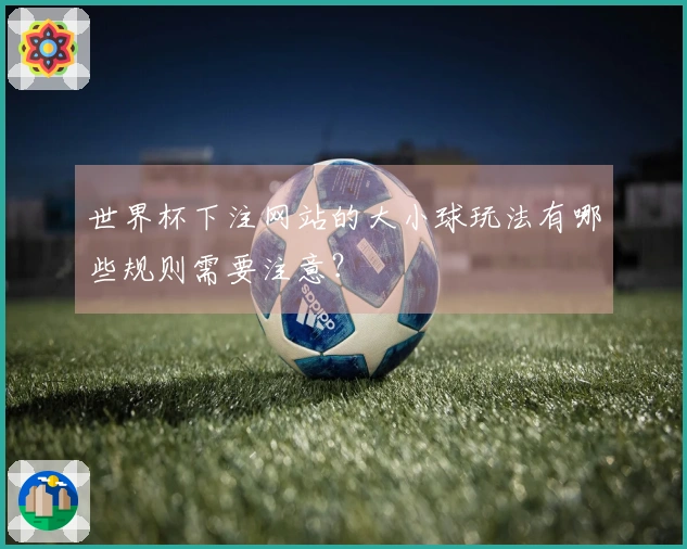 世界杯下注网站的大小球玩法有哪些规则需要注意？
