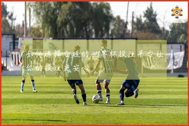 如何选择合适的世界杯投注平台让你的投注更安心