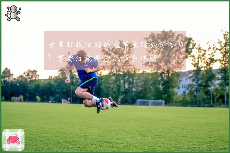 世界杯投注站的冠军竞猜如何参与？需要注意哪些流程和规则？