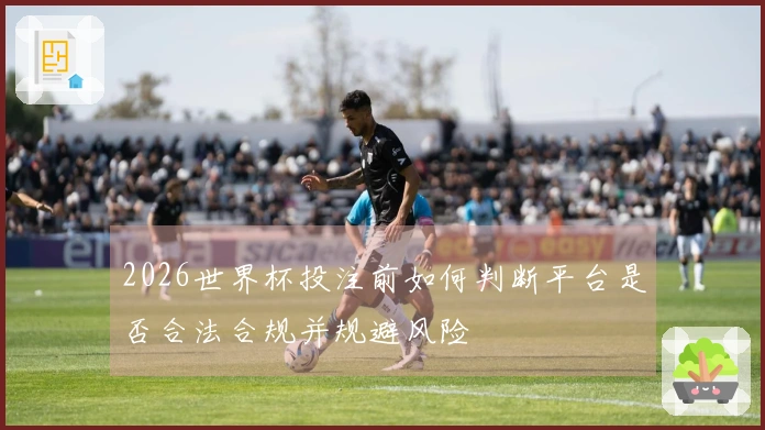 2026世界杯投注前如何判断平台是否合法合规并规避风险