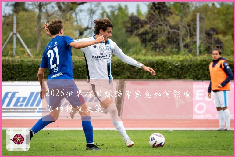 2026世界杯买球赔率究竟如何影响你的投注决策