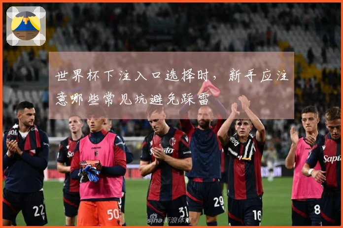 世界杯下注入口选择时，新手应注意哪些常见坑避免踩雷