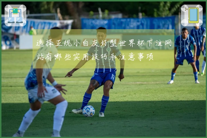 选择正规小白友好型世界杯下注网站有哪些实用技巧和注意事项