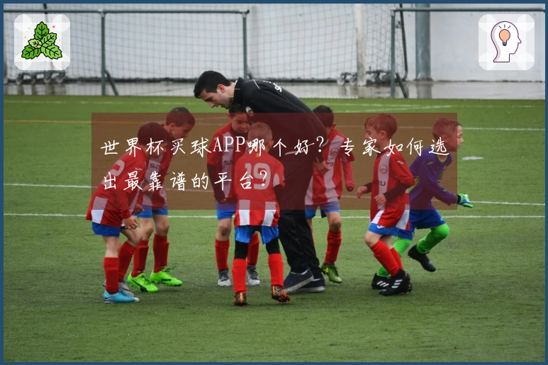 世界杯买球APP哪个好？专家如何选出最靠谱的平台？
