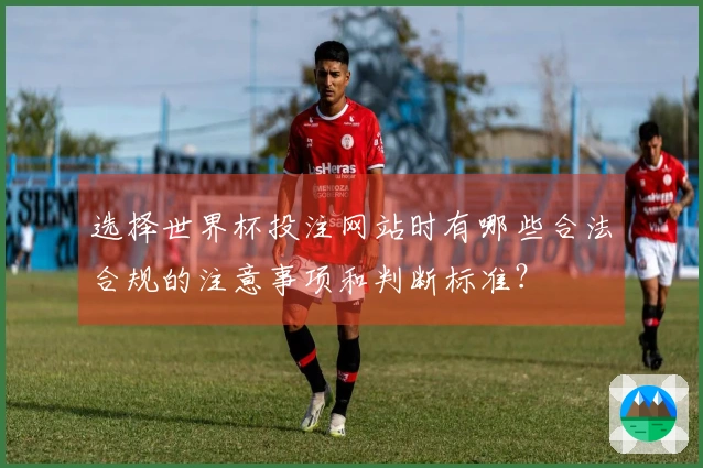 选择世界杯投注网站时有哪些合法合规的注意事项和判断标准？