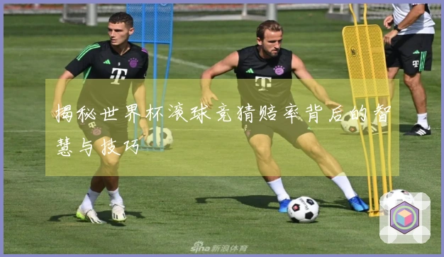 揭秘世界杯滚球竞猜赔率背后的智慧与技巧