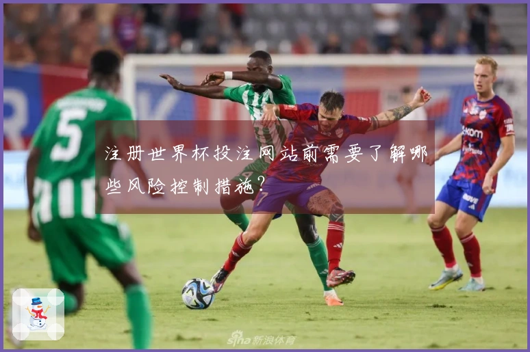 注册世界杯投注网站前需要了解哪些风险控制措施？