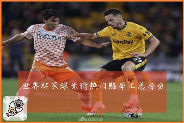 世界杯买球竞猜热门赔率汇总与分析