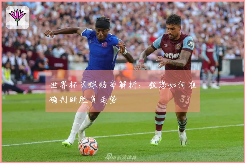 世界杯买球赔率解析，教您如何准确判断胜负走势