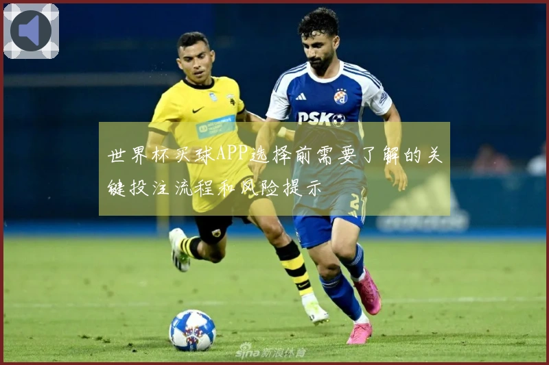 世界杯买球APP选择前需要了解的关键投注流程和风险提示