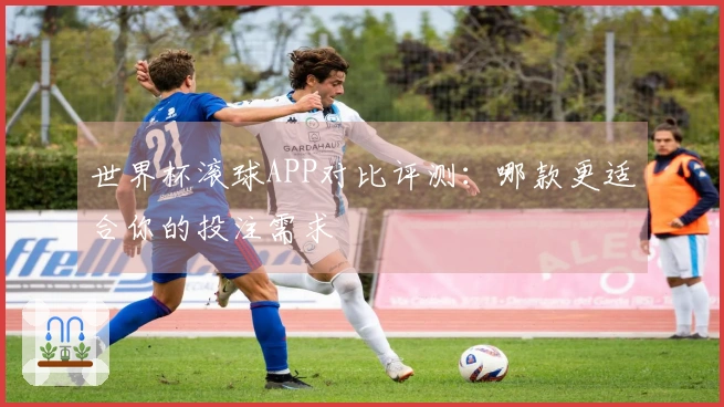 世界杯滚球APP对比评测：哪款更适合你的投注需求