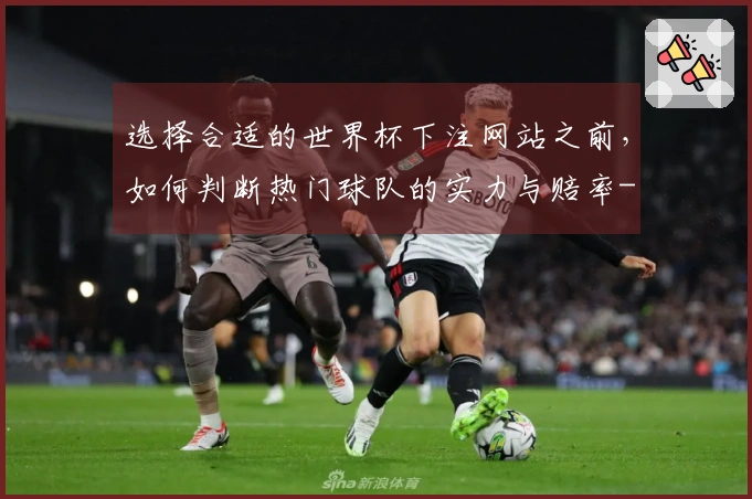 选择合适的世界杯下注网站之前，如何判断热门球队的实力与赔率-