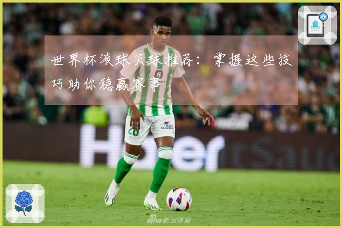 世界杯滚球买球推荐：掌握这些技巧助你稳赢赛事