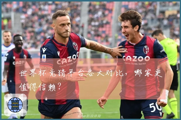 世界杯竞猜平台各大对比，哪家更值得信赖？