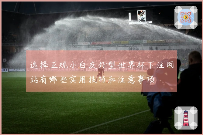 选择正规小白友好型世界杯下注网站有哪些实用技巧和注意事项