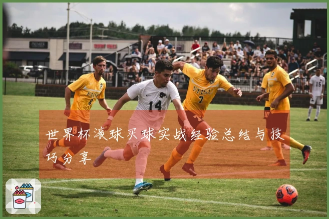 世界杯滚球买球实战经验总结与技巧分享