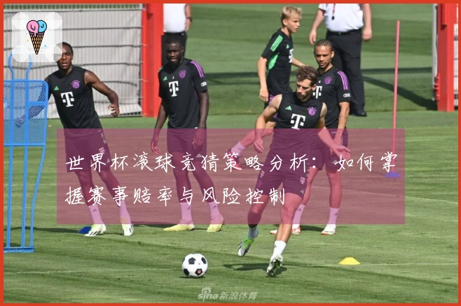 世界杯滚球竞猜策略分析：如何掌握赛事赔率与风险控制
