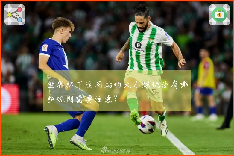 世界杯下注网站的大小球玩法有哪些规则需要注意？