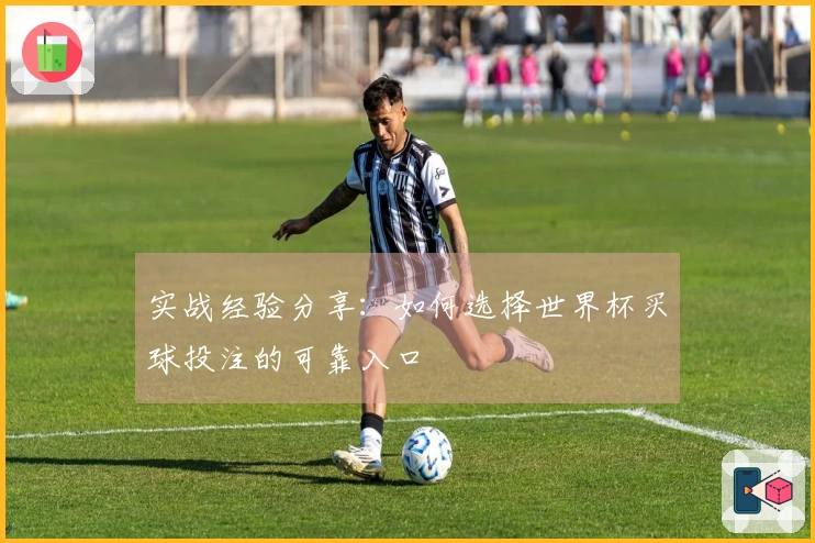 实战经验分享：如何选择世界杯买球投注的可靠入口