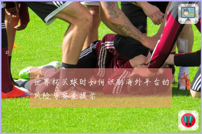 世界杯买球时如何识别海外平台的风险与安全提示