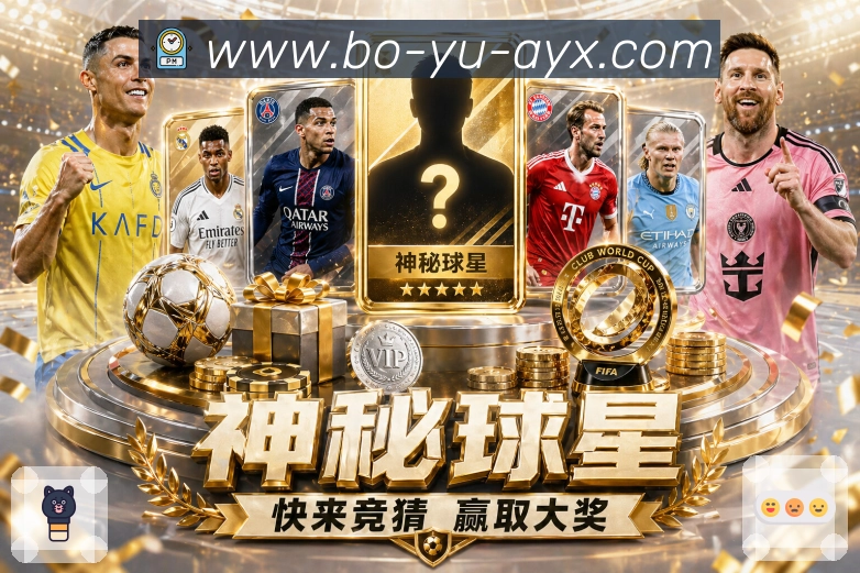 收藏偏好安全流程
